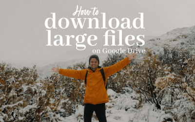 How to download large files from Google drive