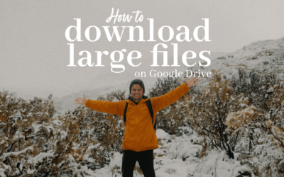 How to Download Large Files from Google Drive