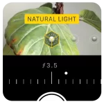 iPhone portrait mode aperture